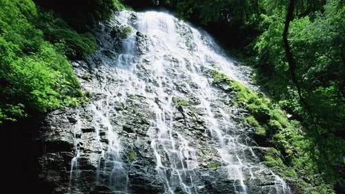 高端环保独特
